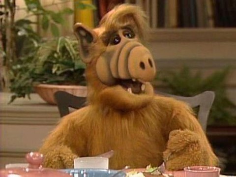 Alf