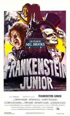 Frankenstein junior
