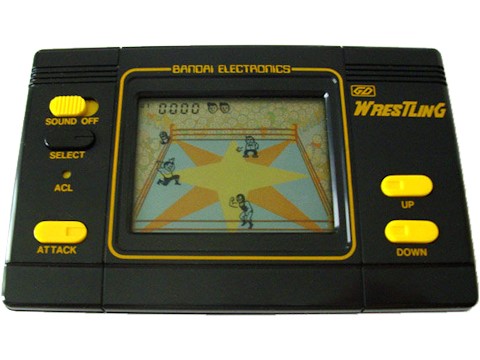 Pro wrestling