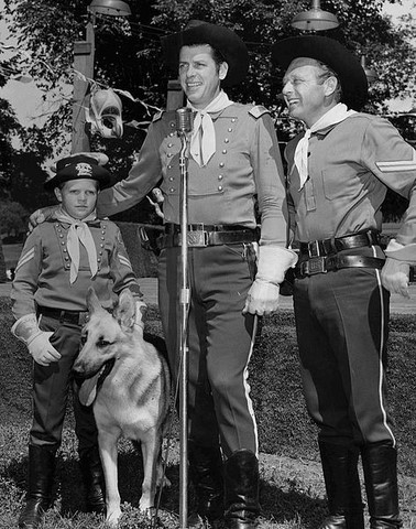 Le avventure di Rin Tin Tin