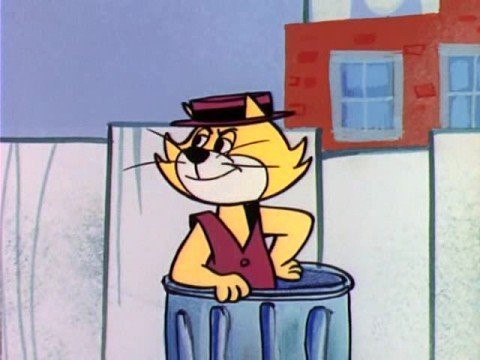 Top Cat