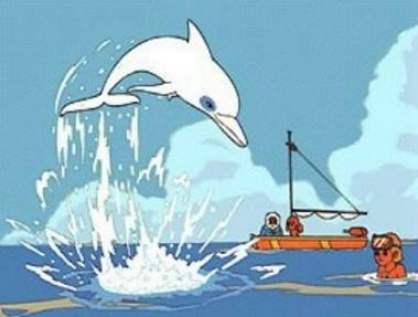 Zum, il delfino bianco